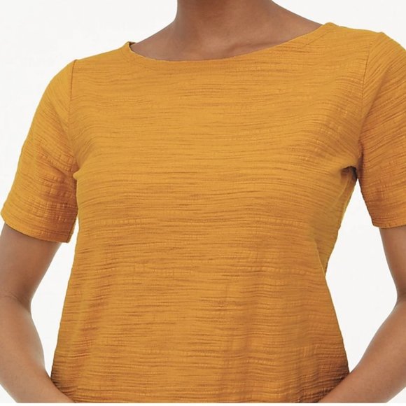 NWT J.Crew Open-Neck Tee - Picture 3 of 9